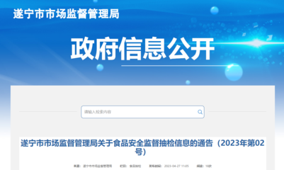 遂宁高端网站建设(遂宁高端网站建设情况)