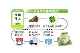 从农田到餐桌 食品当建追溯数据链 图